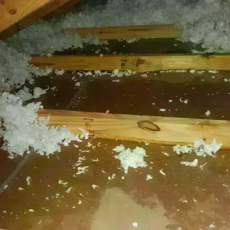 Attic Water Damage in Polk County, MN