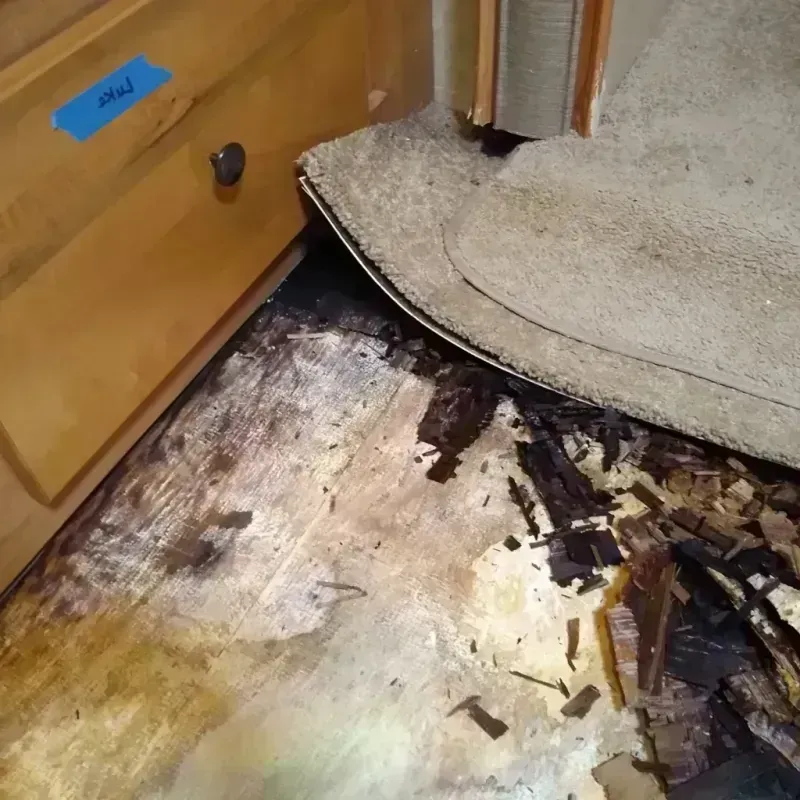 Best Wood Floor Water Damage Service in Polk County, MN